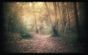 Ed Boxall - Dance Beneath A Diamond Sky thumbnail