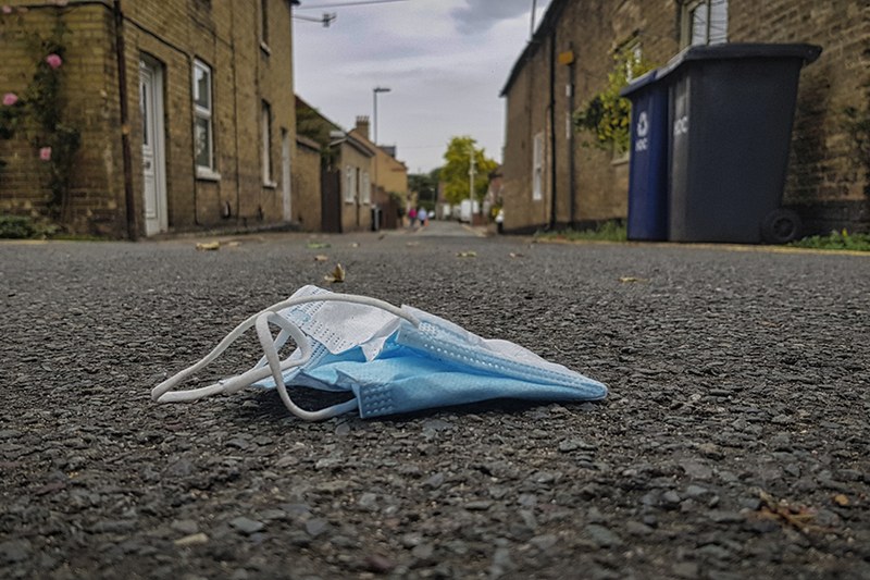 Lesser Spotted Maskhole photo series thumbnail